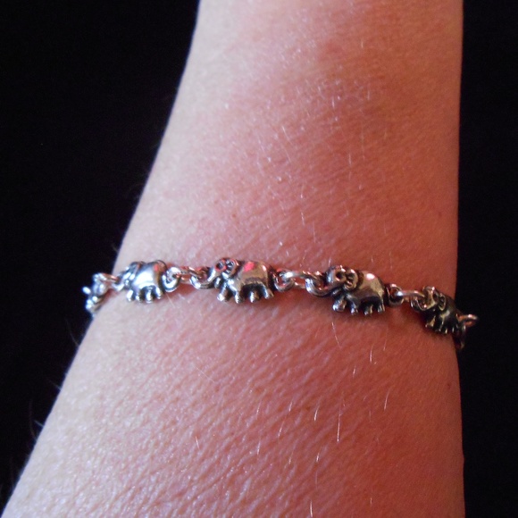 Meet your Posher, Darcey - Picture 5 of 8